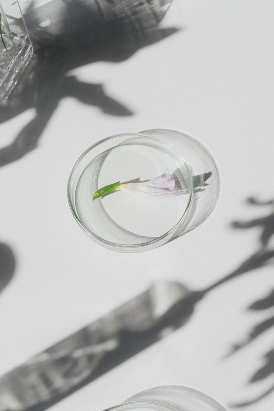 DermaSet | Natural Anti-Aging Skincare Products